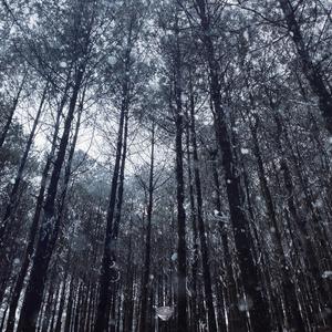 日本少妇⭕⭕⭕⭕XXXX软件
