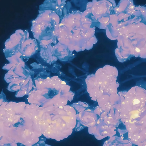 日本少妇⭕⭕⭕⭕XXXX软件
